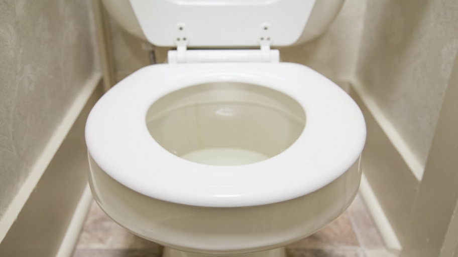 Can a Snake Come Up Through the Toilet? Angi